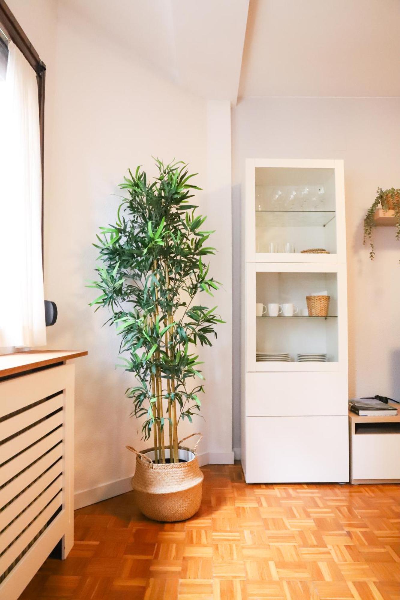 Casa Aspe Jaca Apartment Екстериор снимка